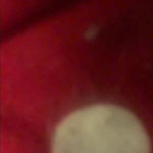 Meet your Posher, Sid